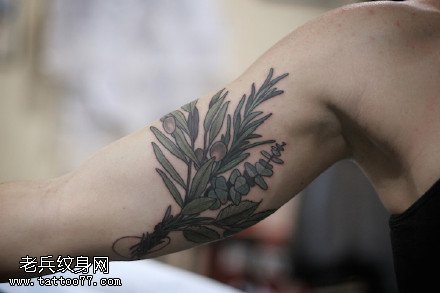 手臂上的植物花卉纹身图案