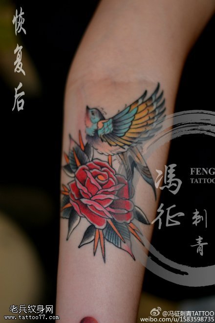 清爽的小鸟玫瑰纹身图案
