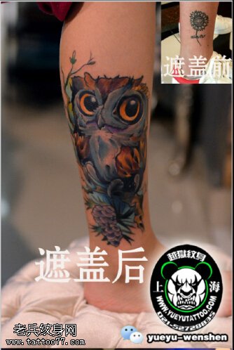 遮盖旧纹身精美的猫头鹰纹身图案