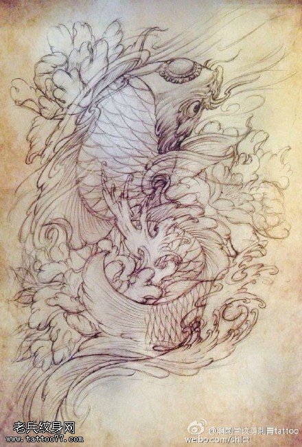 素描锦鲤莲花纹身图案