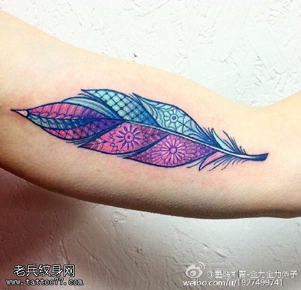 彩绘荆门的羽毛纹身图案