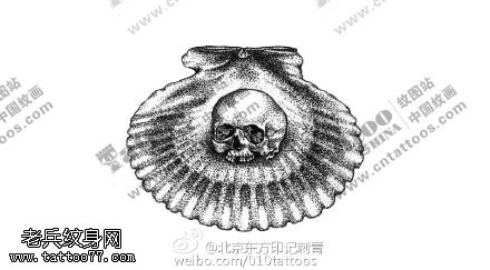 手稿扇贝骷髅纹身图案