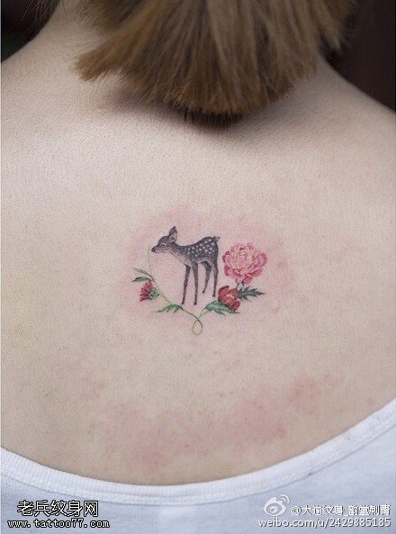 清新的花卉梅花鹿纹身图案