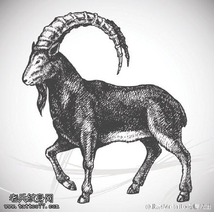 经典手绘羚羊手稿纹身图案