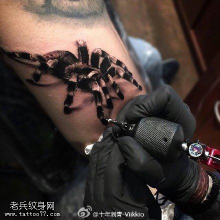 逼真的3D蜘蛛纹身图案