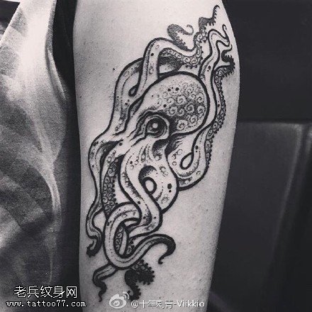 经典的章鱼纹身图案