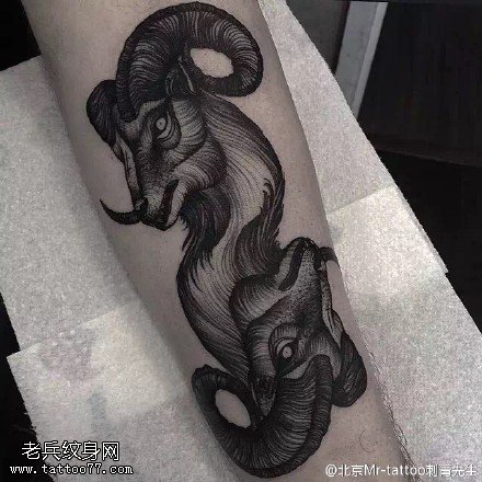 胳膊上山羊刺青纹身图案