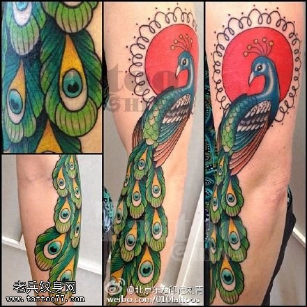 经典美丽漂亮的孔雀纹身图案