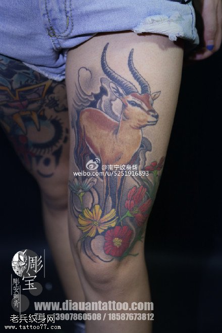 彩绘羚羊花卉纹身图案