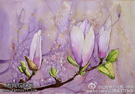 水彩白色纯洁的花卉纹身图案