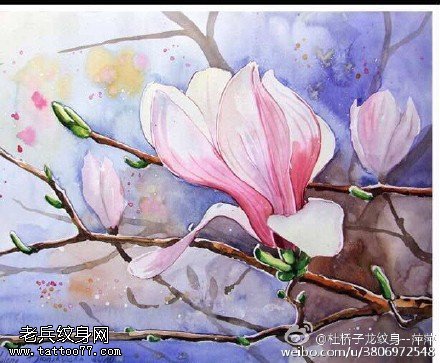 水彩风纯洁高雅的玉兰花纹身图案