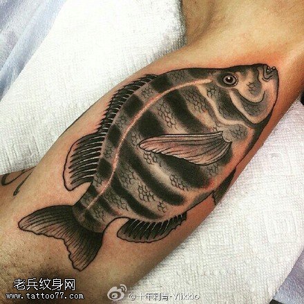 小腿上的大鲢鱼纹身图案