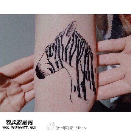 经典的斑马纹身图案