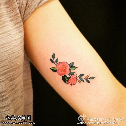 经典鲜艳红色玫瑰花纹身图案