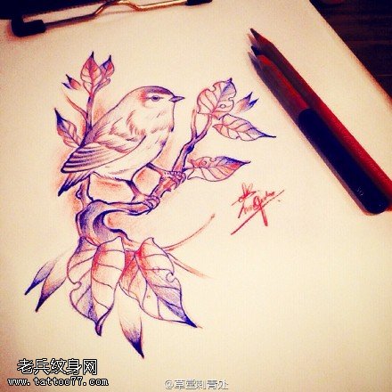 手稿小鸟纹身图案
