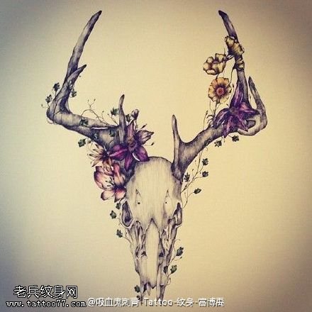 手稿骷髅羚角纹身图案