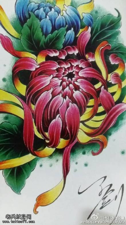 手稿大菊花纹身图案
