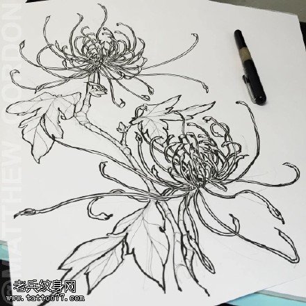 手绘简单的菊花纹身图案