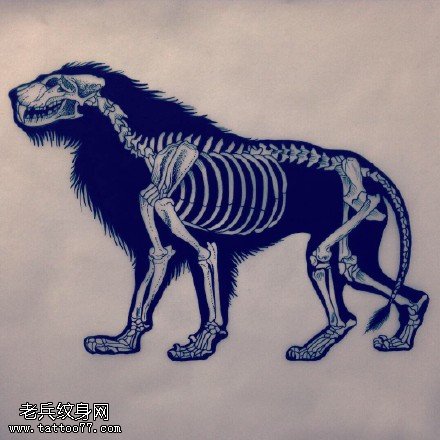 素描狮子骨架纹身图案