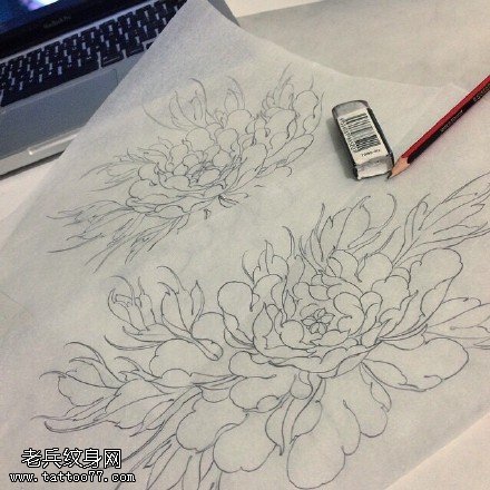 手稿素描菊花纹身图案