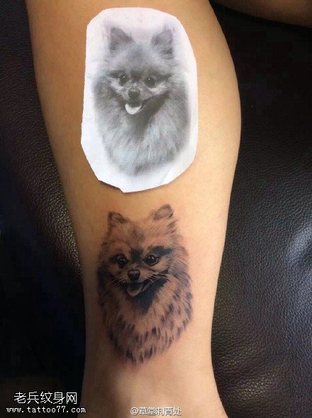宠物小狗纹身图案