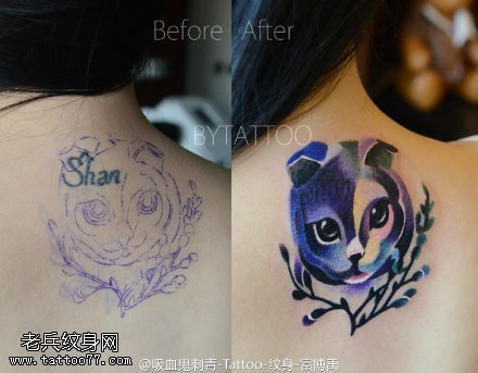 彩绘小猫咪纹身图案