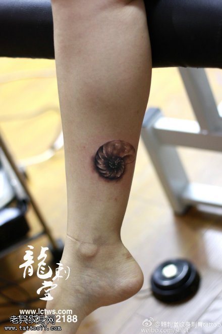 小腿上的蜗牛纹身图案