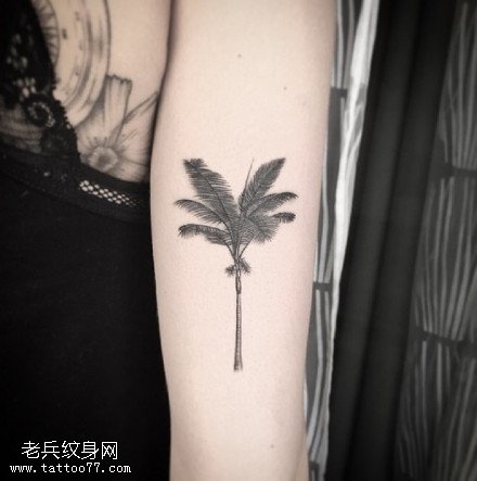 手臂点刺香蕉树纹身图案