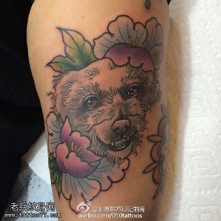花卉毛毛狗纹身图案
