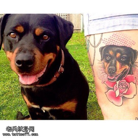 主人的宠物狗纹身图案
