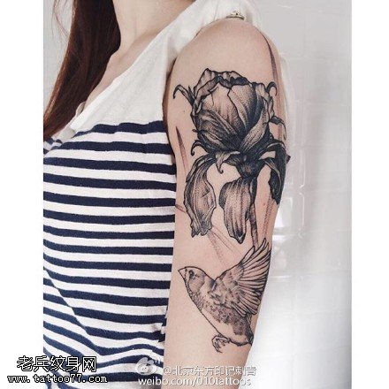 肩膀花卉鸟儿纹身图案