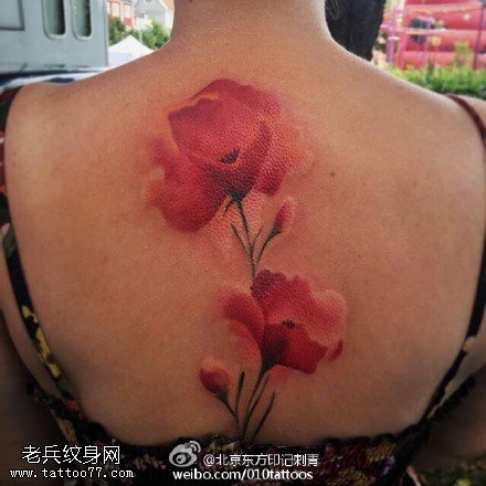 背部的罂粟花纹身图案