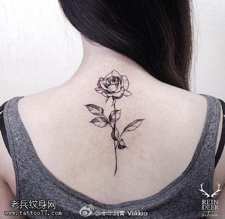 背部荆棘的玫瑰纹身图案