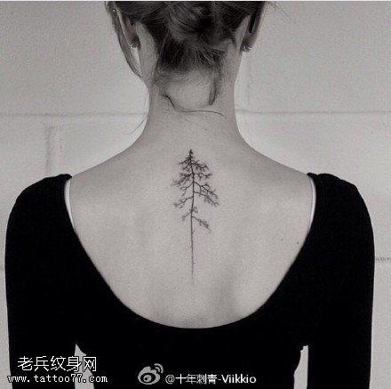 背部小松树纹身图案