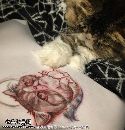 手稿素描可爱的猫咪纹身图案