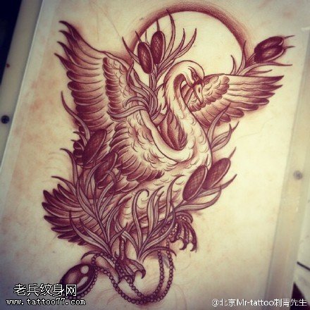 手稿经典的天鹅纹身图案
