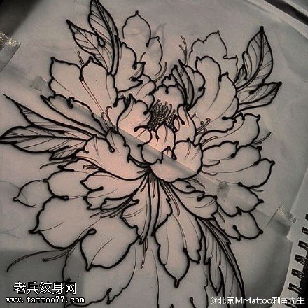经典手稿大牡丹纹身图案