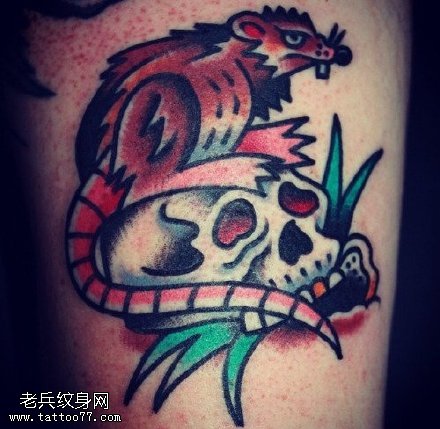 彩绘鼠骷髅纹身图案