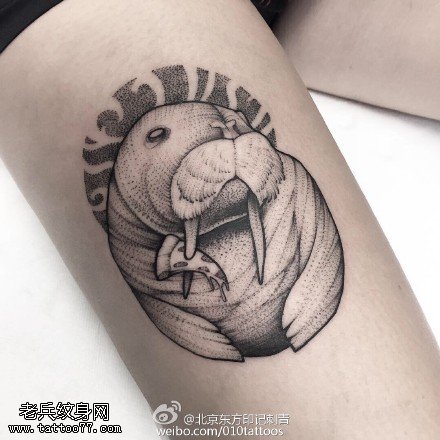 腿部的小海狮纹身图案