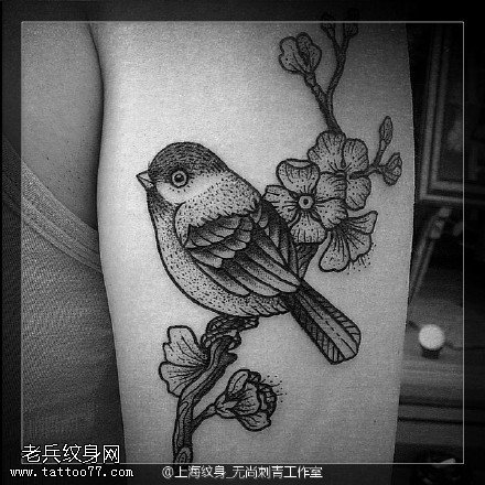 手臂上的鸟儿纹身图案