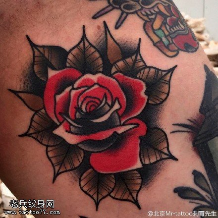 手臂荆棘的玫瑰纹身图案