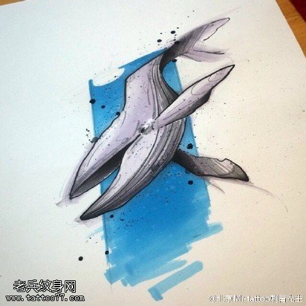 手稿鲸鱼纹身图案