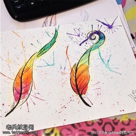 手稿水彩的羽毛纹身图案