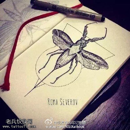 手稿素描老牛纹身图案