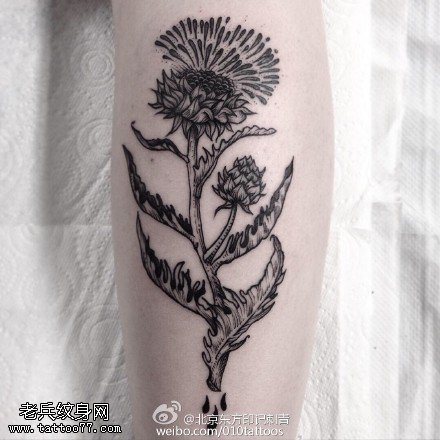 小腿的植物纹身图案