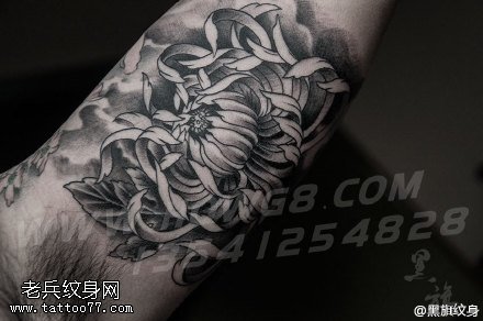 手臂的菊花纹身图案