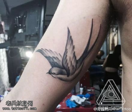 手臂的燕子纹身图案