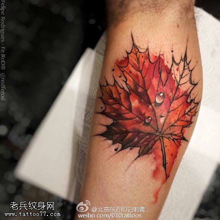 小腿上水墨枫叶纹身图案