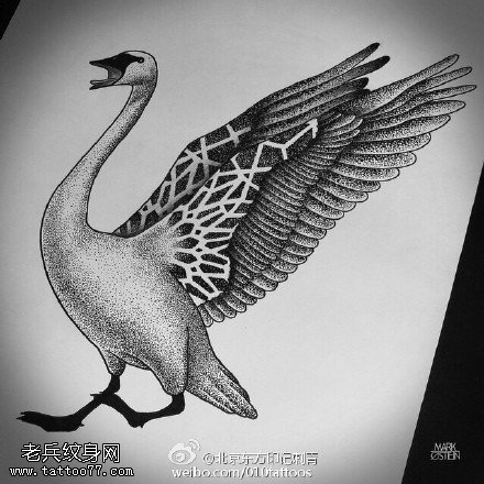 手稿天鹅纹身图案