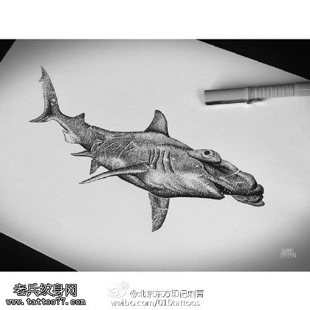 手稿鲨鱼纹身图案